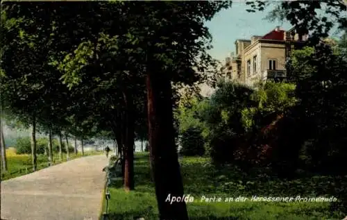 Ak Apolda im Weimarer Land Thüringen, Partie an der Heressener Promenade