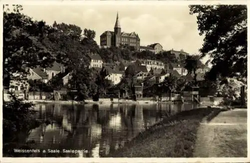 Ak Weißenfels an der Saale, Saalepartie, Teilansicht, Schloss