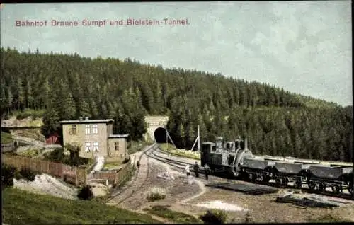 Ak Blankenburg am Harz, Bahnhof Braune Sumpf und Bielsteintunnel, Harz Zahnradbahn