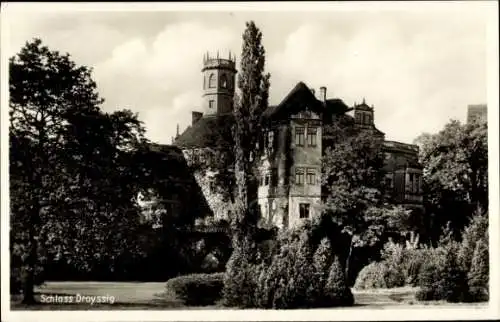 Ak Droyßig im Burgenlandkreis, Schloss