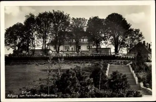 Ak Erfurt Thüringen, Partie am Aufgang zum Parkkaffee Hopfenberg