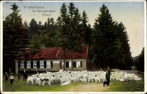 Ak Benneckenstein Oberharz am Brocken, Waldschlösschen, Hirte mit Schafen