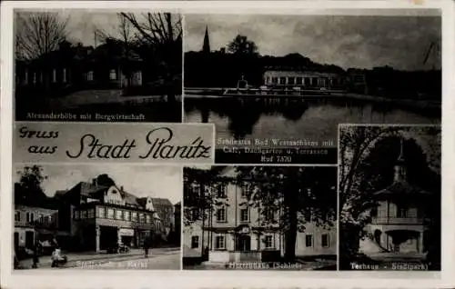 Ak Planitz Zwickau in Sachsen, Alexanderhöhe mit Gasthaus, Teehaus Stadtpark, Schloss