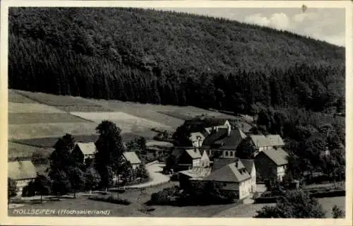 Ak Mollseifen Winterberg im Sauerland, Gasthof Wagner, Wald