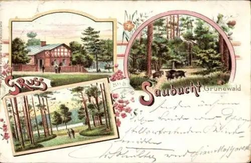 Litho Berlin Wilmersdorf Grunewald, Saubucht, Wildschweine