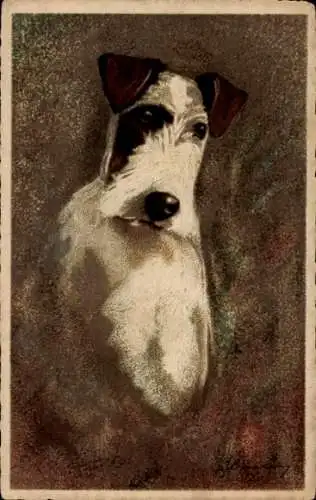 Künstler Ak Foxterrier, Hundeportrait, Hundeschnauze