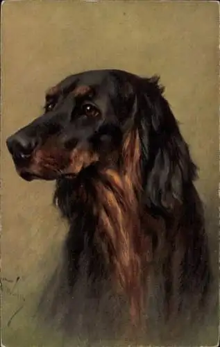 Künstler Ak Hundeportrait, Irish Setter