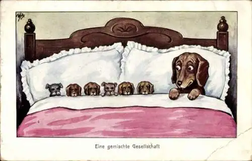 Künstler Ak Scheuermann, W., Hund und seine Kinder im Bett