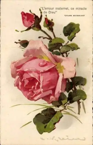 Künstler Litho Klein, Catharina, Glückwunsch, Rosenblüte