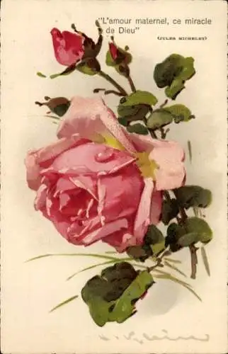 Künstler Litho Klein, Catharina, Glückwunsch, Rosenblüte