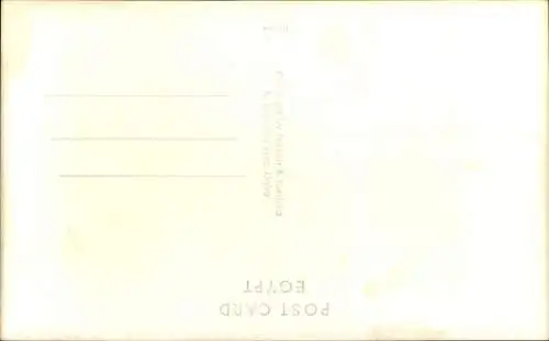 Ak Cairo Kairo Ägypten, Kamele in der Wüste