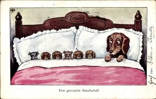 Künstler Ak Scheuermann, W., Hund und seine Kinder im Bett