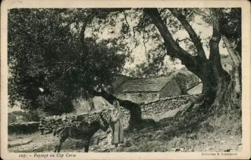 Ak Cap Corse Haute-Corse, Paysage, Frau mit Esel