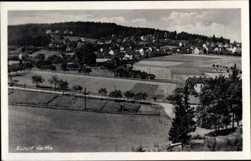 Ak Hartha Hintergersdorf Tharandt im Erzgebirge, Panorama