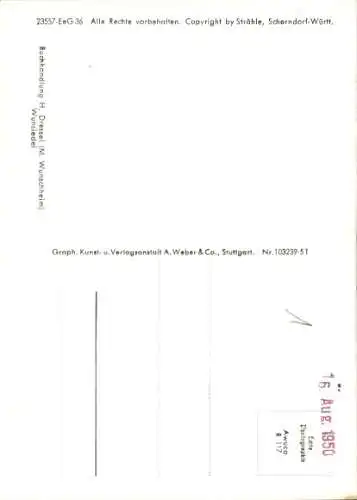 Ak Wunsiedel im Fichtelgebirge Oberfranken, Fliegeraufnahme