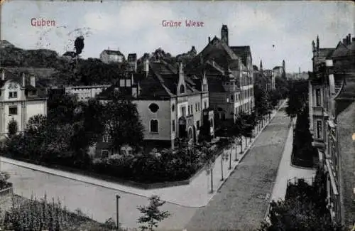 Ak Guben in der Niederlausitz, Grüne Wiese