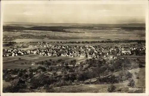 Ak Mössingen in Württemberg, Panorama