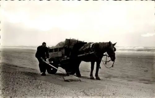 Foto Ak Muschelfischer, Strand, Pferd, Fischfang