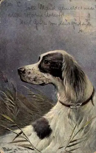 Künstler Ak Müller, Hund in einem Feld, Portrait