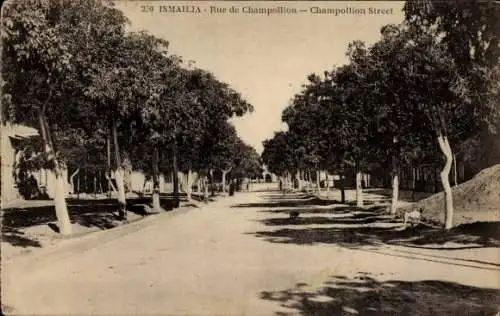 Ak Ismailia Ägypten, Champollion Street