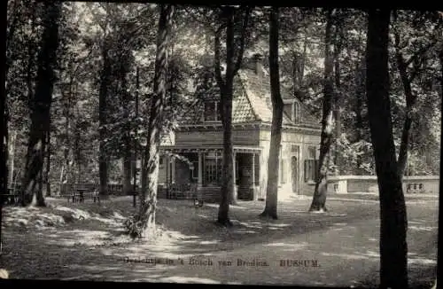 Ak Bussum Nordholland Niederlande, Blick in den Bosch von Bredius