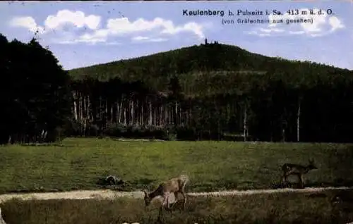 Ak Pulsnitz Sachsen, Keulenberg, Rehe beim grasen