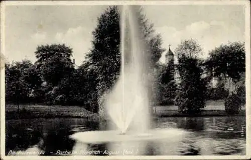 Ak Bischofswerda in Sachsen, Partie im Friedrich August Park, Springbrunnen, Kirche