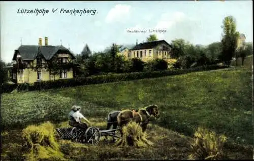 Ak Lützelhöhe Frankenberg an der Zschopau, Restaurant, Feldarbeit