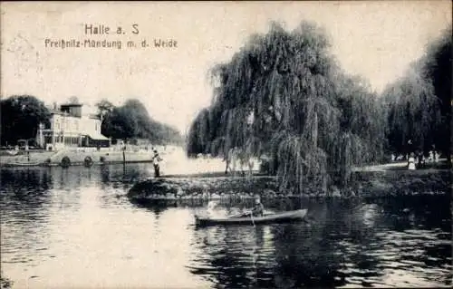 Ak Halle an der Saale, Peißnitzmündung mit der Weide