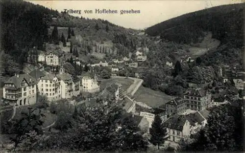 Ak Triberg im Schwarzwald, Stadt von Hoflehen gesehen