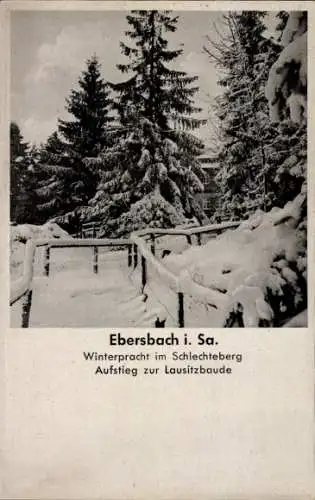 Ak Ebersbach, Winterpracht Schlechteberg, Lausitzbaude