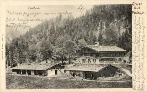 Ak Schliersee Oberbayern, Blick auf Forsthaus am Waldrand, Valepp