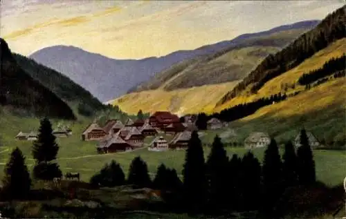 Künstler Ak Hoffmann, H., Menzenschwand Sankt Blasien im Schwarzwald, Gesamtansicht