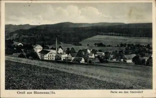 Ak Blumenau Olbernhau im Erzgebirge Sachsen, Niederdorf