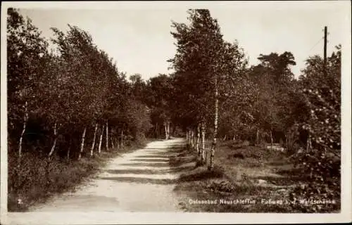 Ak Śliwin Neuschleffin Rewal Rewahl Pommern, Fußweg bei der Waldschänke