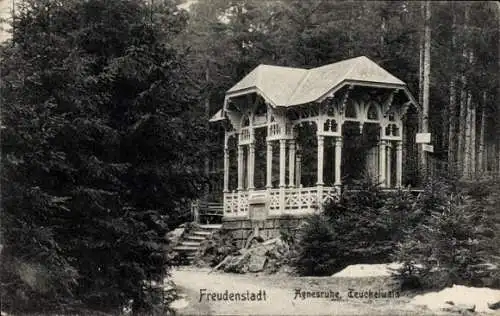 Ak Freudenstadt im Schwarzwald, Agnesruhe, Teuchelwald