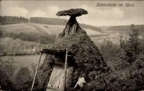 Ak Harz, Blick auf Köhlerhütte und Landschaft