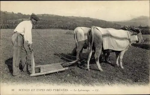 Ak Scènes et Types des Pyrenées, Le Labourage, Ackerpflug, Zugochsen