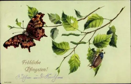 Litho Glückwunsch Pfingsten, Maikäfer, Birken, Schmetterling