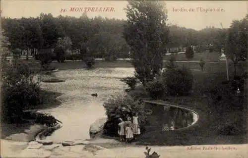 Ak Montpellier Hérault, Jardin de l’Esplanade