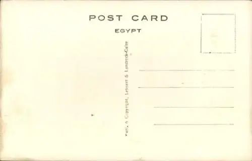 Ak Cairo Kairo Ägypten, Flood Time near Pyarmids, Pyramiden, Palmen