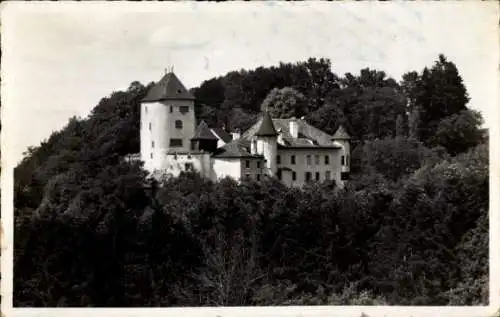 Ak Bubendorf Halbkanton Basel Land, Schloss Wildenstein