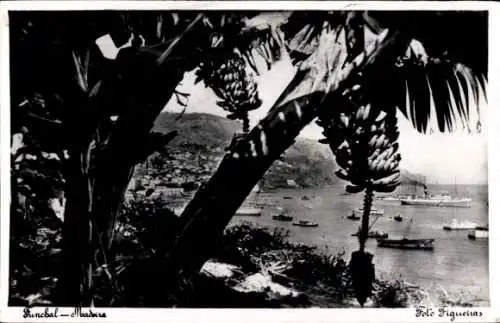 Ak Funchal Insel Madeira Portugal, Durchblick, Meer, Stadt