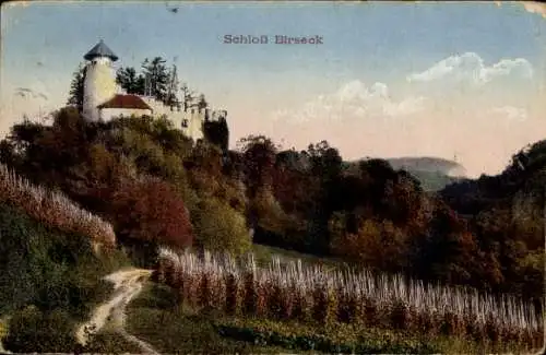 Ak Birseck Basel Landschaft, Schloss, Weinreben