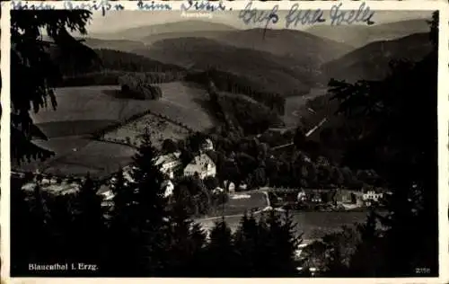 Ak Blauenthal Eibenstock im Erzgebirge, Parkhotel Forelle aus der Vogelperspektive, Wälder