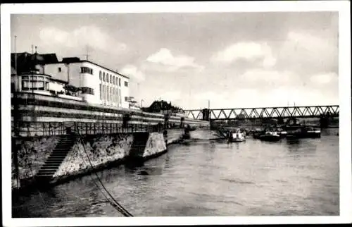 Ak Neuwied, Deichmauer, Deichkaffe und Rheinbrücke