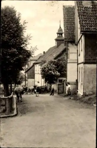 Ak Engelsbach Leinatal in Thüringen, Dorfansicht, Viehtrieb durch den Ort