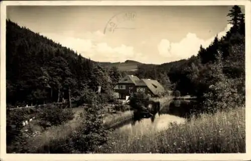 Ak Bärenfels Altenberg im Osterzgebirge, Haus Waldwiese, Kipsdorf