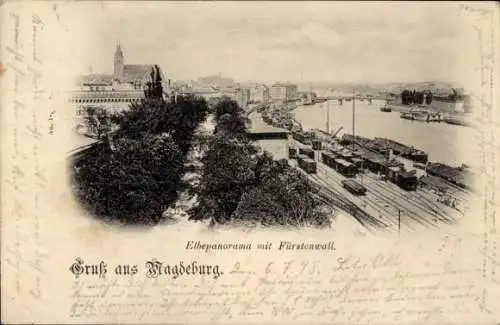 Ak Magdeburg an der Elbe, Elbepanorama, Fürstenwall, Schienen, Eisenbahnen