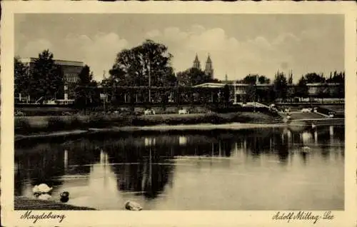 Ak Magdeburg in Sachsen Anhalt, Blick auf den Adolf Mittag See